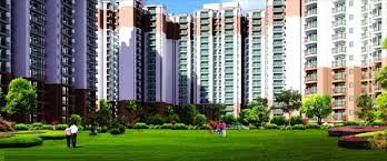 Property Highlights